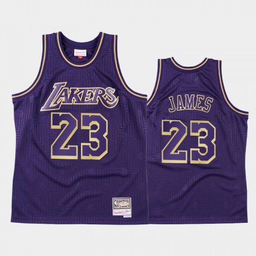 Men's Los Angeles Lakers #23 LeBron James Purple 2020 Chinese New Year Hardwood Classics Jersey