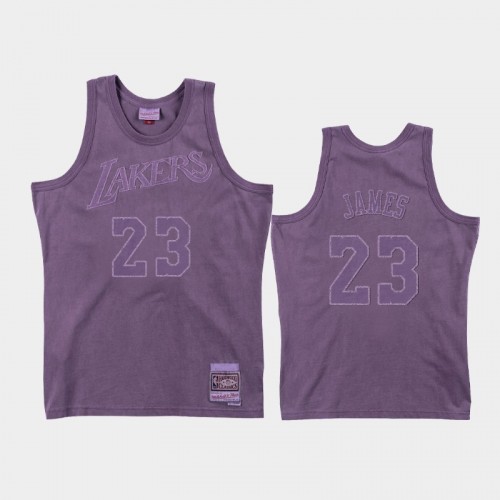 Men's Los Angeles Lakers #23 LeBron James Purple Washed Out Jersey