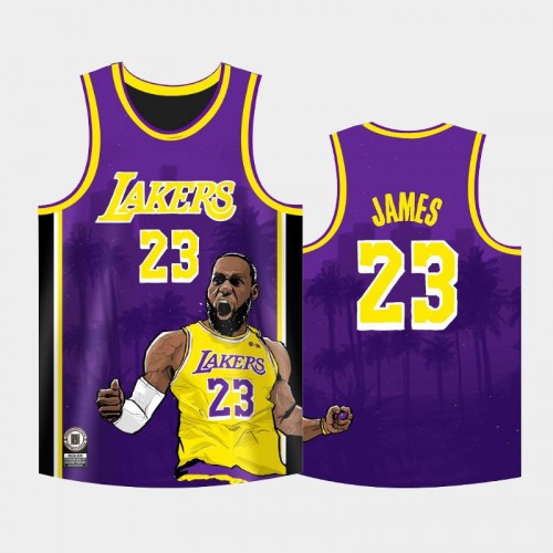 Men Los Angeles Lakers LeBron James #23 Purple Legend Special Image Replica Jersey