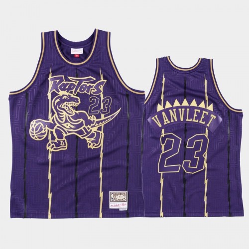 Men's Toronto Raptors #23 Fred VanVleet Gold Purple 2020 Chinese New Year Hardwood Classics Jersey