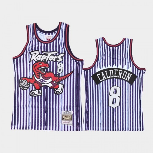 Toronto Raptors #8 Jose Calderon Striped Purple Jersey