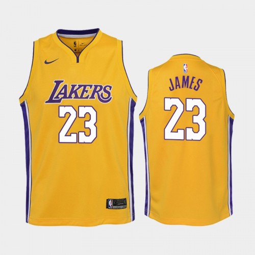 Youth Los Angeles Lakers Icon #6 Lebron James Gold Jersey